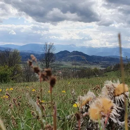 Bed & Breakfast Pod Dudziarzem *