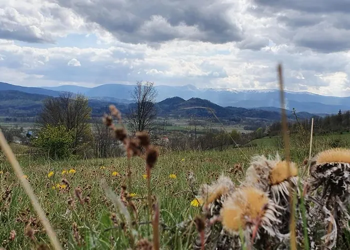 Bed & Breakfast Pod Dudziarzem *